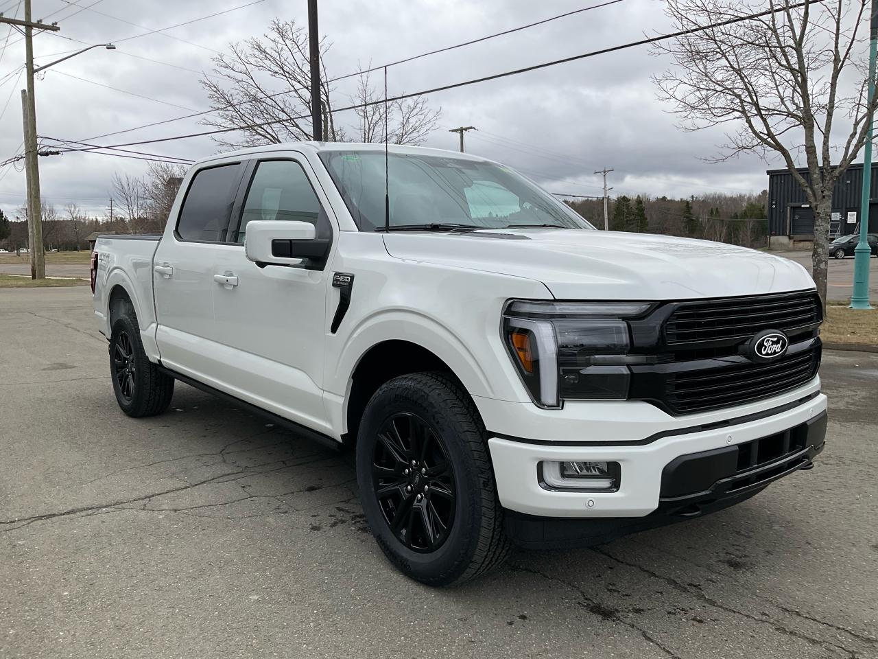 2025 Ford F-150 PLATINUM Photo5