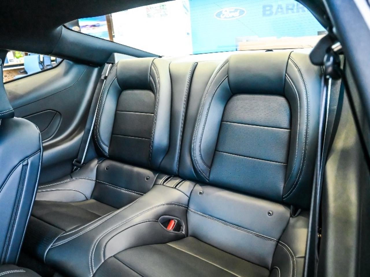 2025 Ford Mustang GT Premium Photo