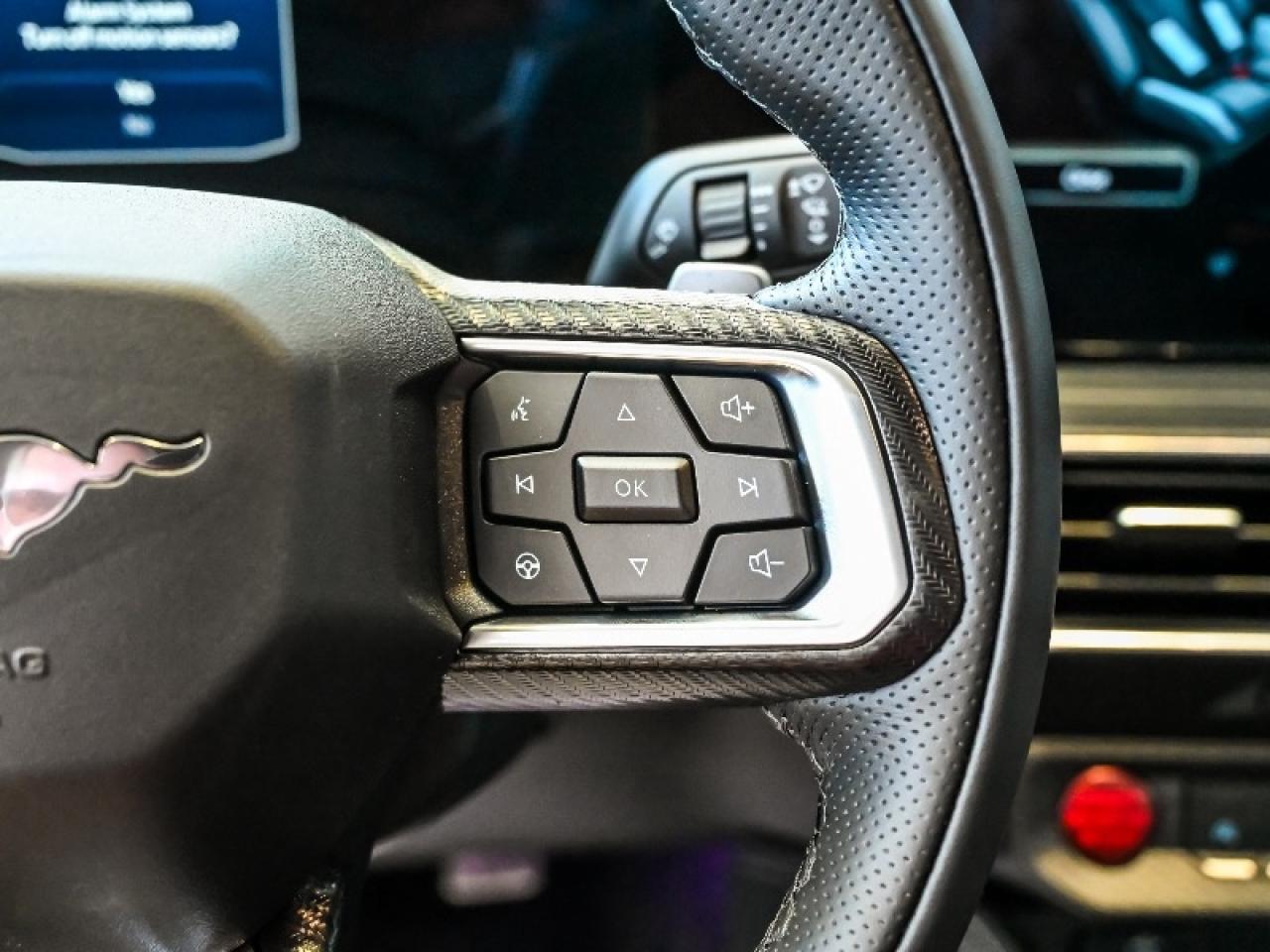 2025 Ford Mustang GT Premium Photo