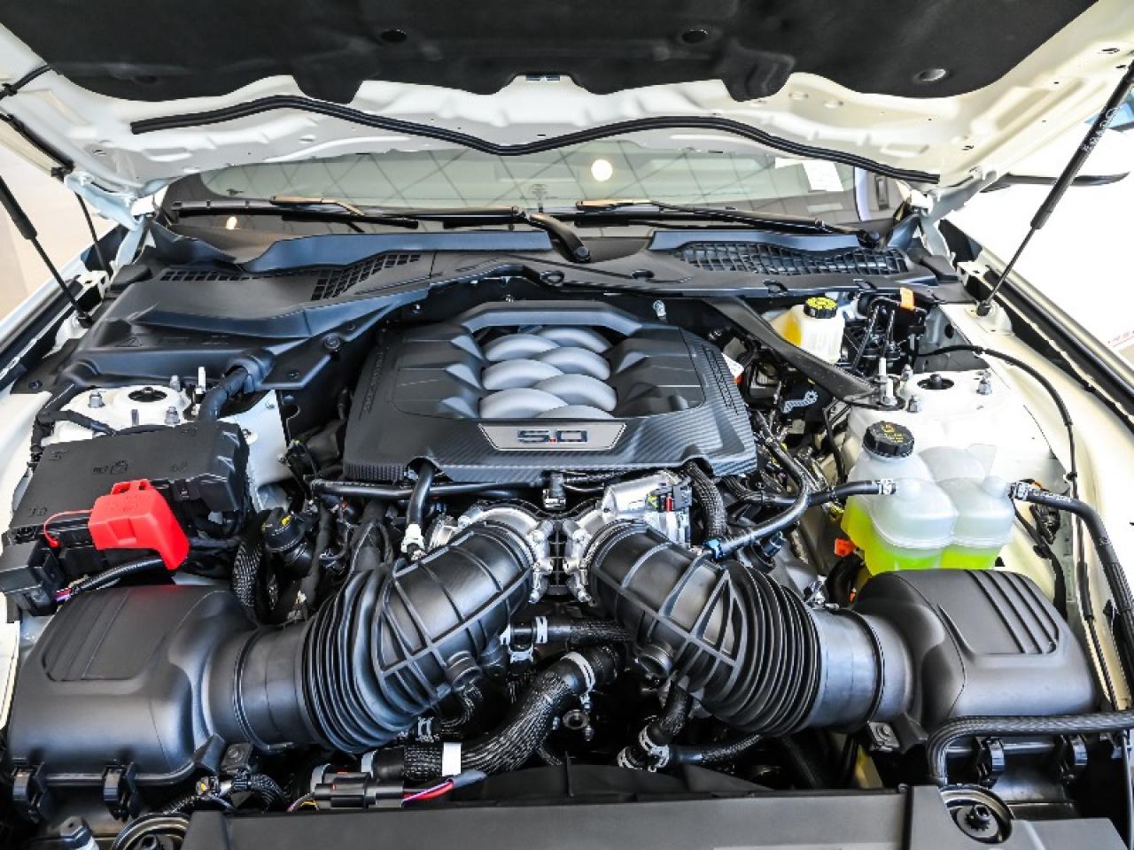 2025 Ford Mustang GT Premium Photo