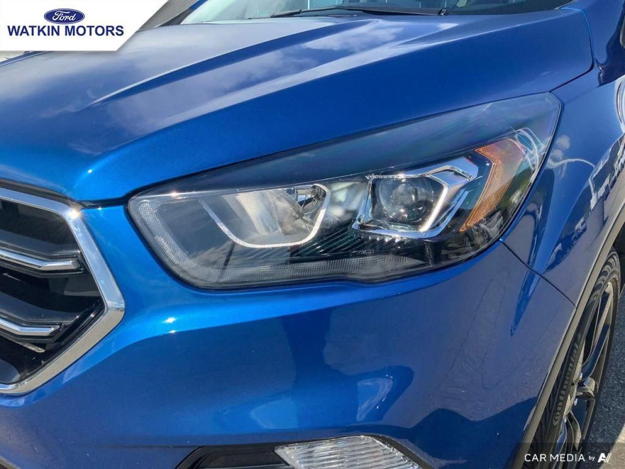 2019 Ford Escape SE Photo10