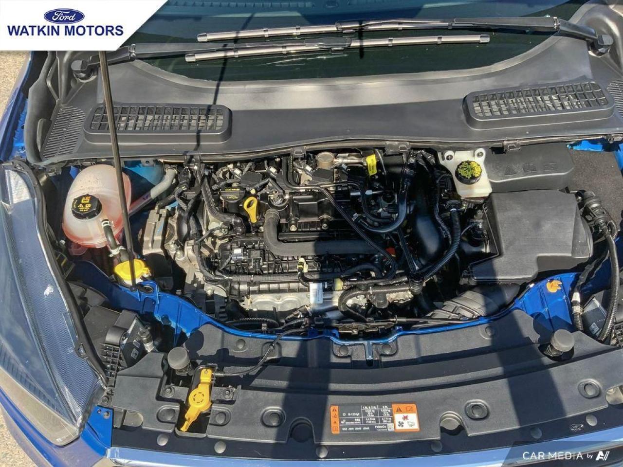 2019 Ford Escape SE Photo29
