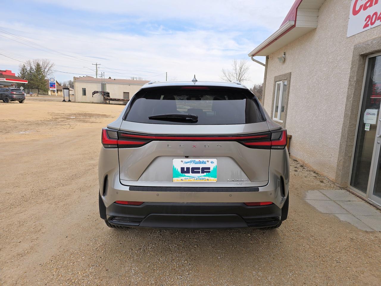 2022 Lexus NX 350h AWD Only 33,382 KM - Photo #12