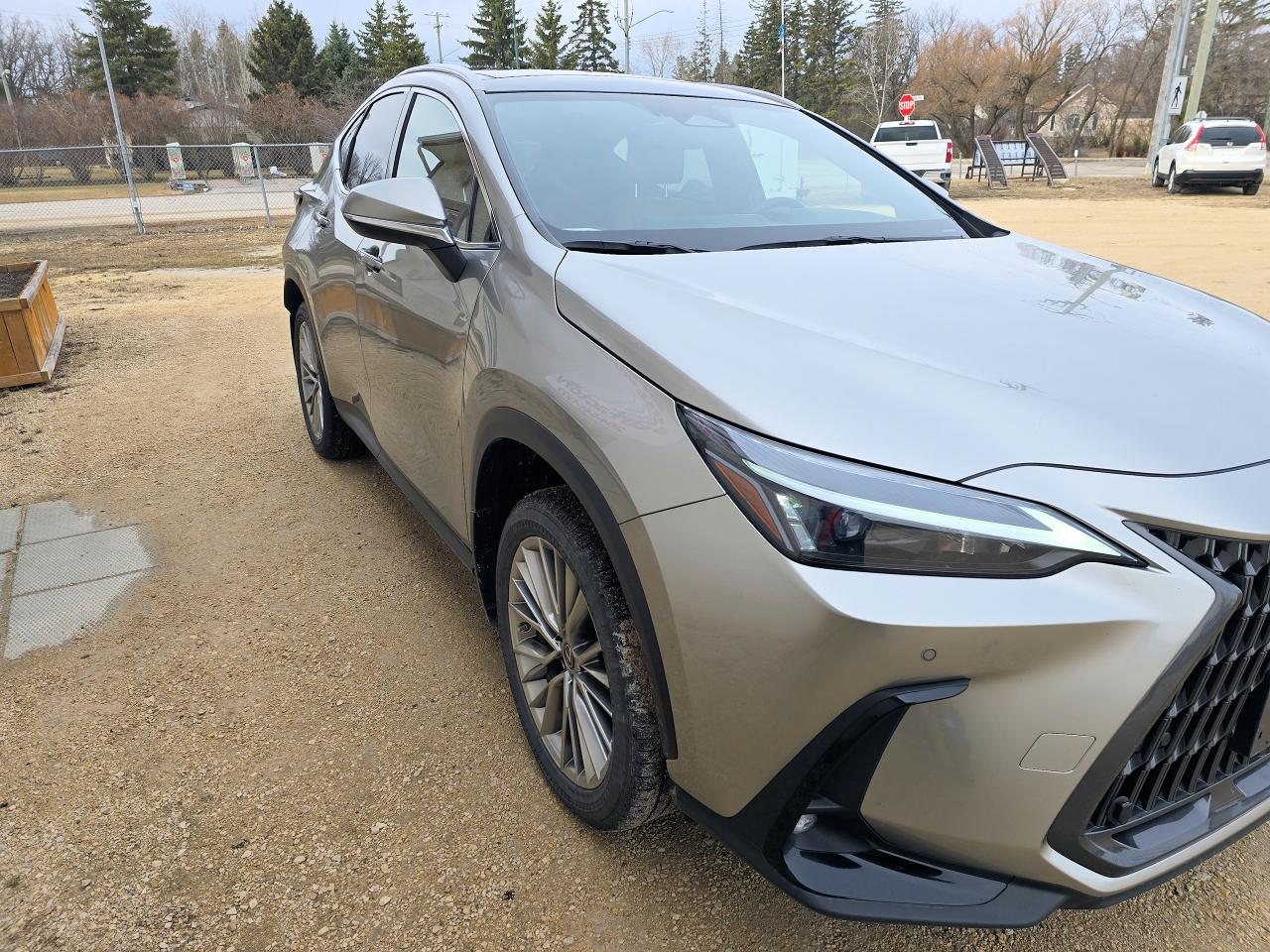2022 Lexus NX 350h AWD Only 33,382 KM - Photo #4