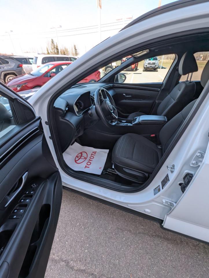 2023 Hyundai Santa Cruz PREFERRED Photo