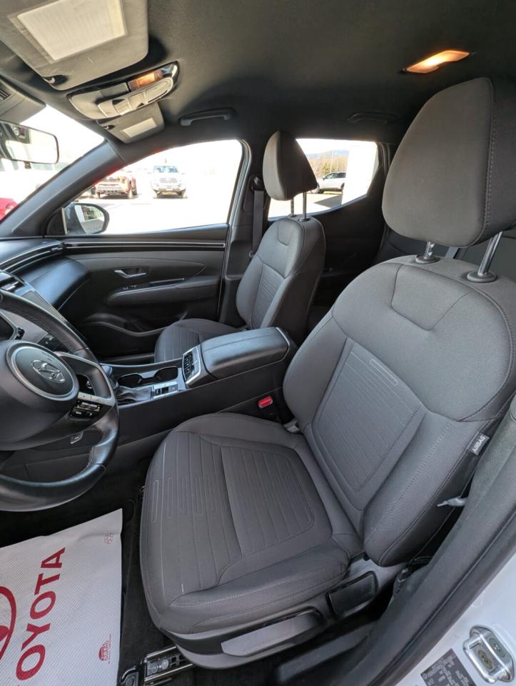 2023 Hyundai Santa Cruz PREFERRED Photo