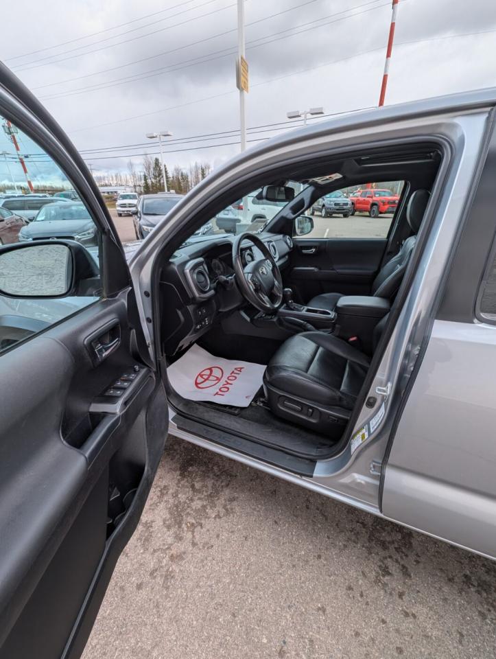 2023 Toyota Tacoma TRD OFFROAD PREMIUM Photo