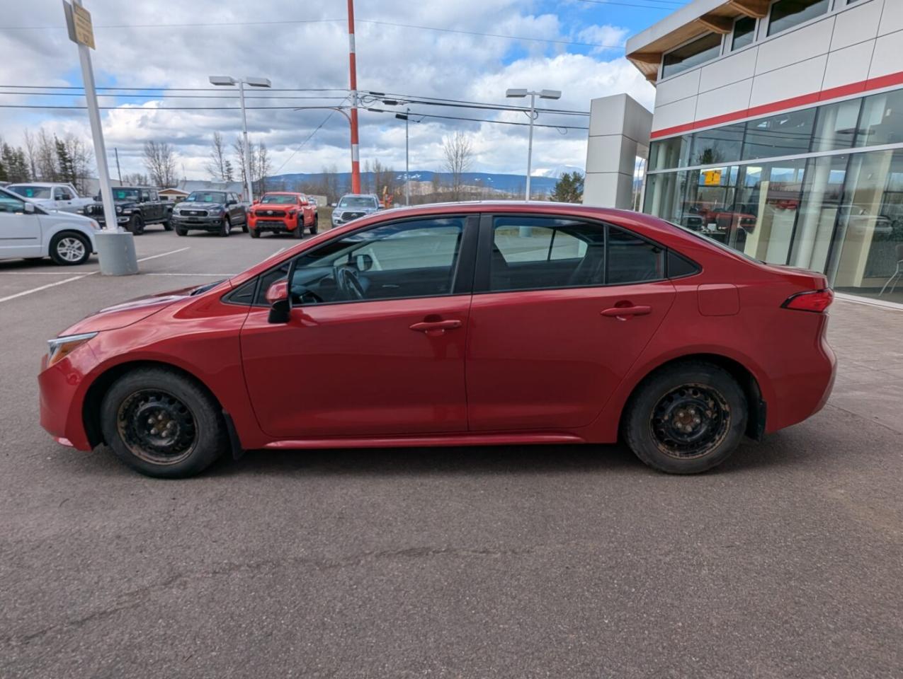 2020 Toyota Corolla LE UPGRADE Photo