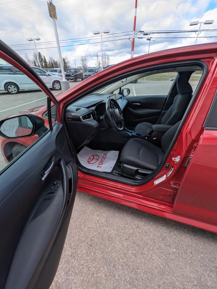 2020 Toyota Corolla LE UPGRADE Photo