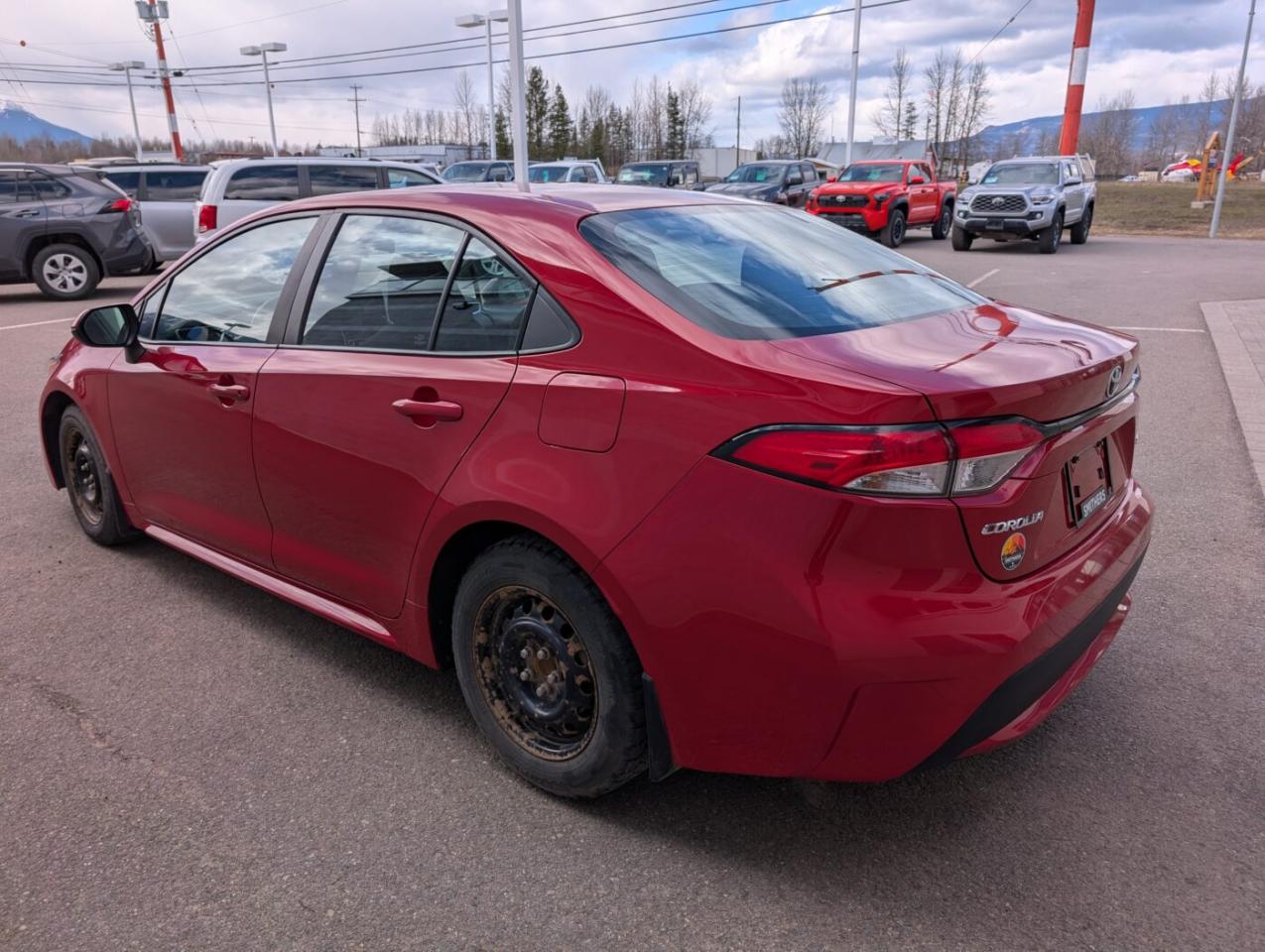 2020 Toyota Corolla LE UPGRADE Photo