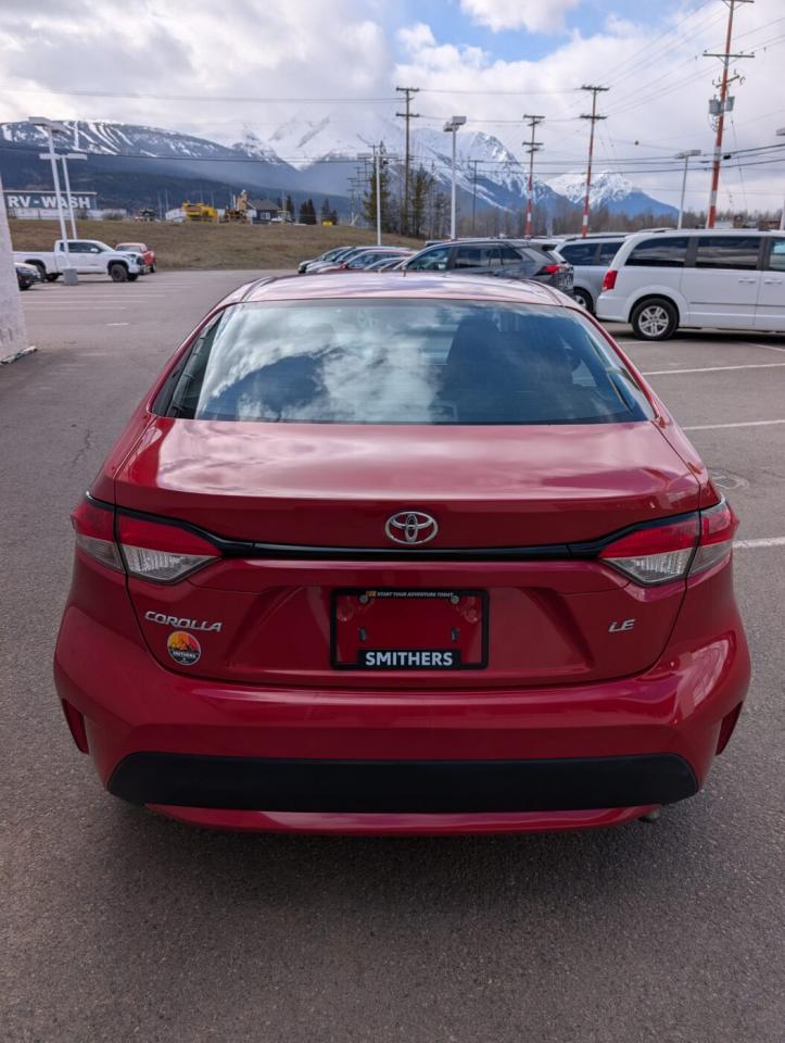 2020 Toyota Corolla LE UPGRADE Photo