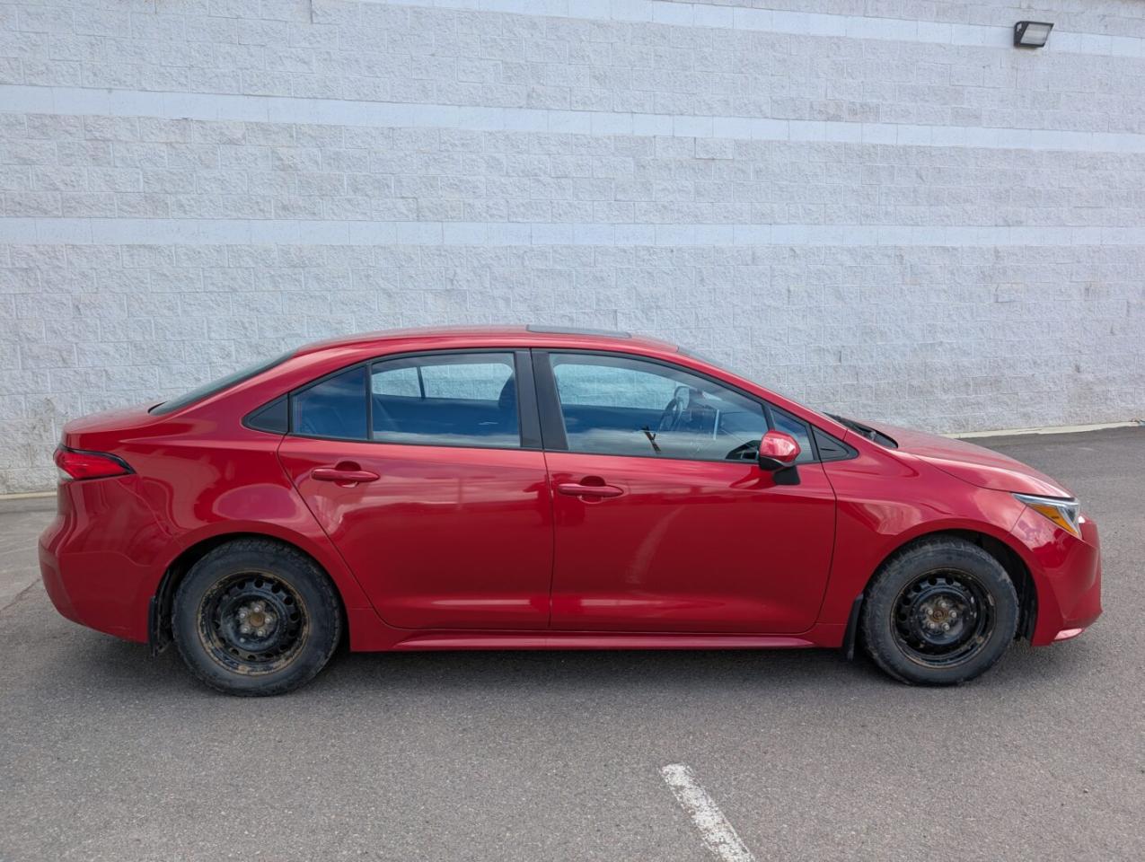 2020 Toyota Corolla LE UPGRADE Photo