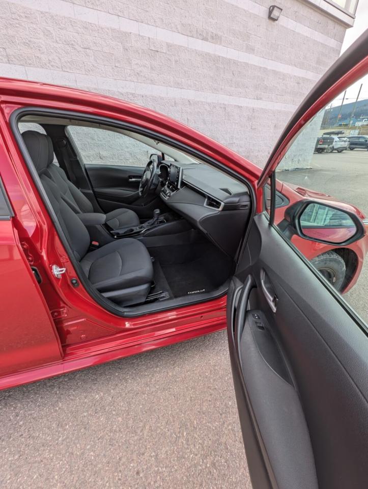 2020 Toyota Corolla LE UPGRADE Photo