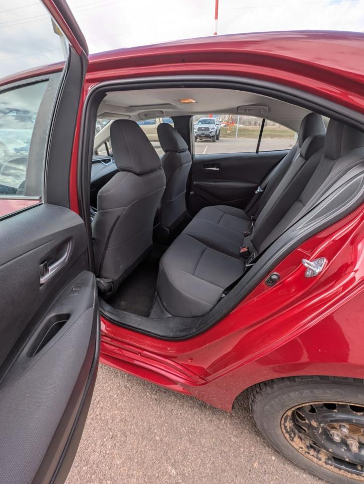 2020 Toyota Corolla LE UPGRADE Photo