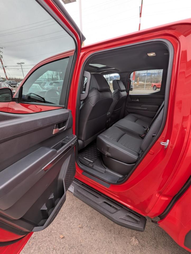 2024 Toyota Tacoma TRD OFFROAD PREMIUM Photo
