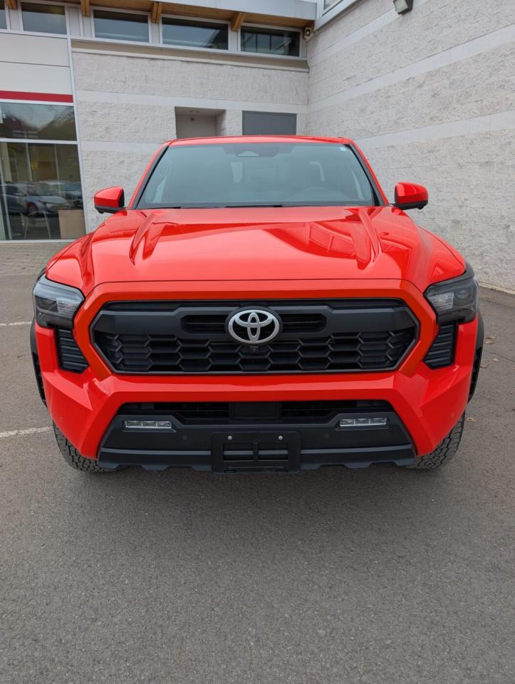 2024 Toyota Tacoma TRD OFFROAD PREMIUM Photo1