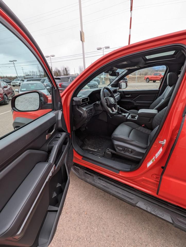 2024 Toyota Tacoma TRD OFFROAD PREMIUM Photo