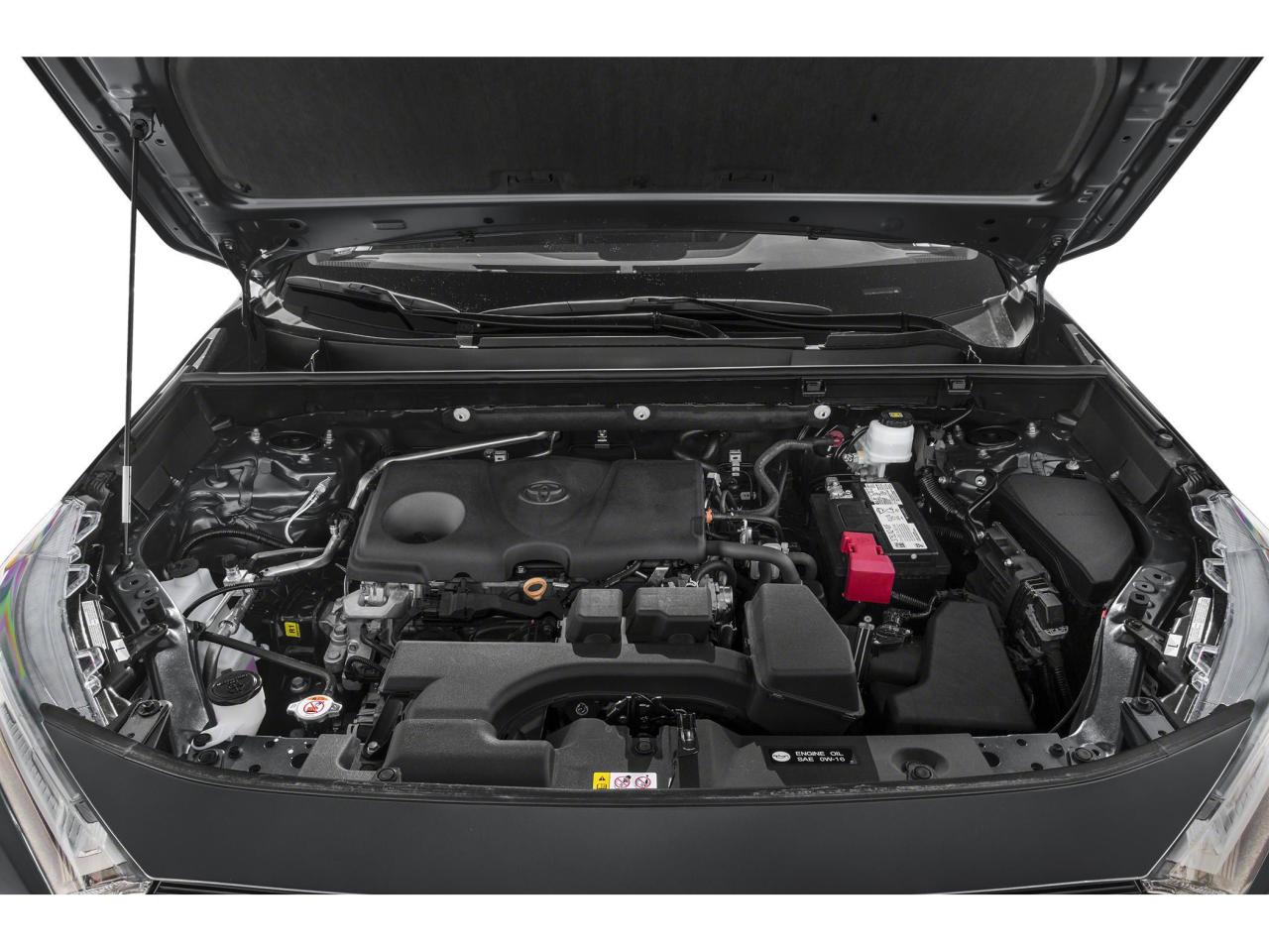 2023 Toyota RAV4 LE Photo