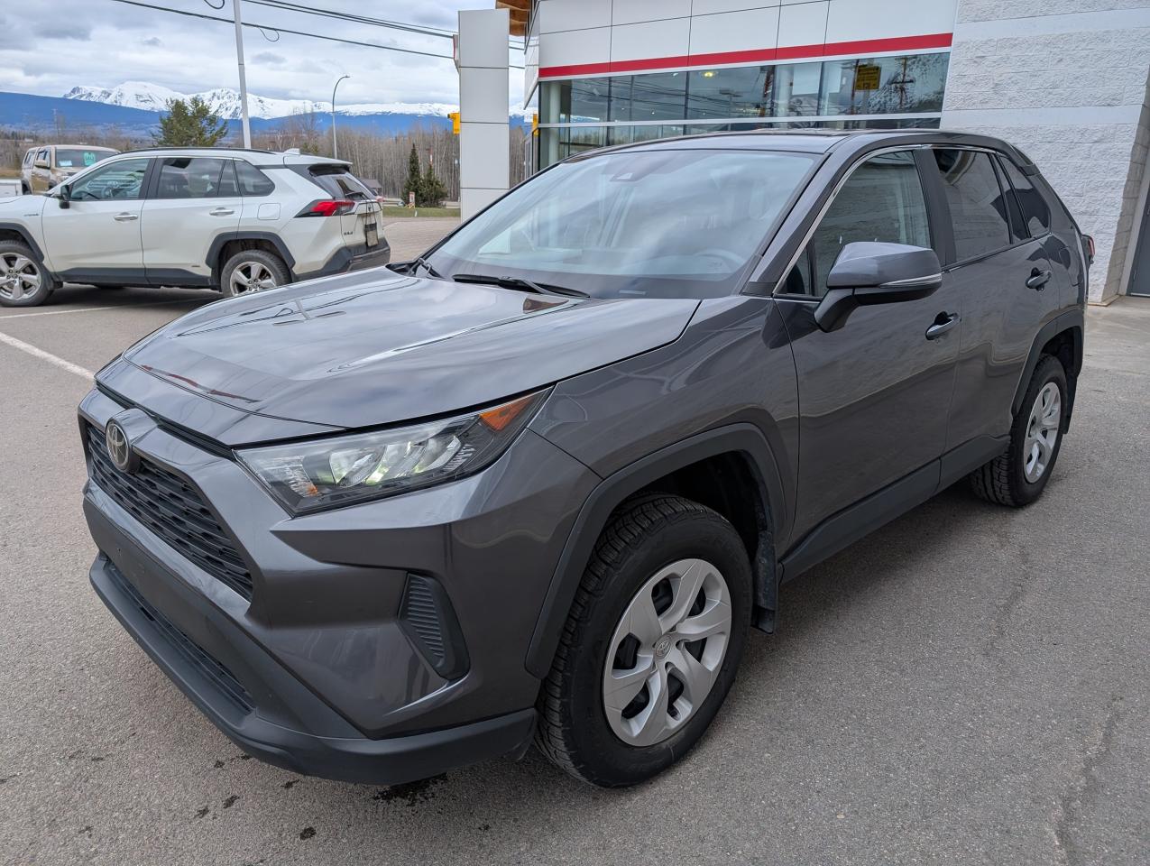 2024 Toyota RAV4 LE Photo
