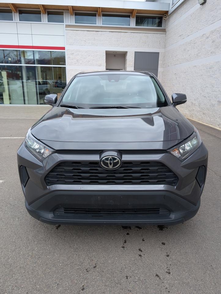 2024 Toyota RAV4 LE Photo