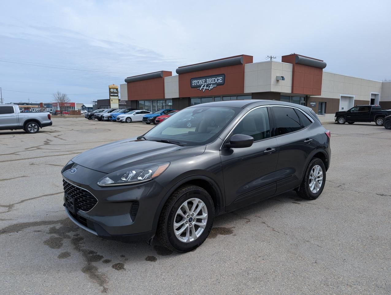 Used 2020 Ford Escape SE | Adaptive Cruise | No Collisions | Carplay for sale in Steinbach, MB
