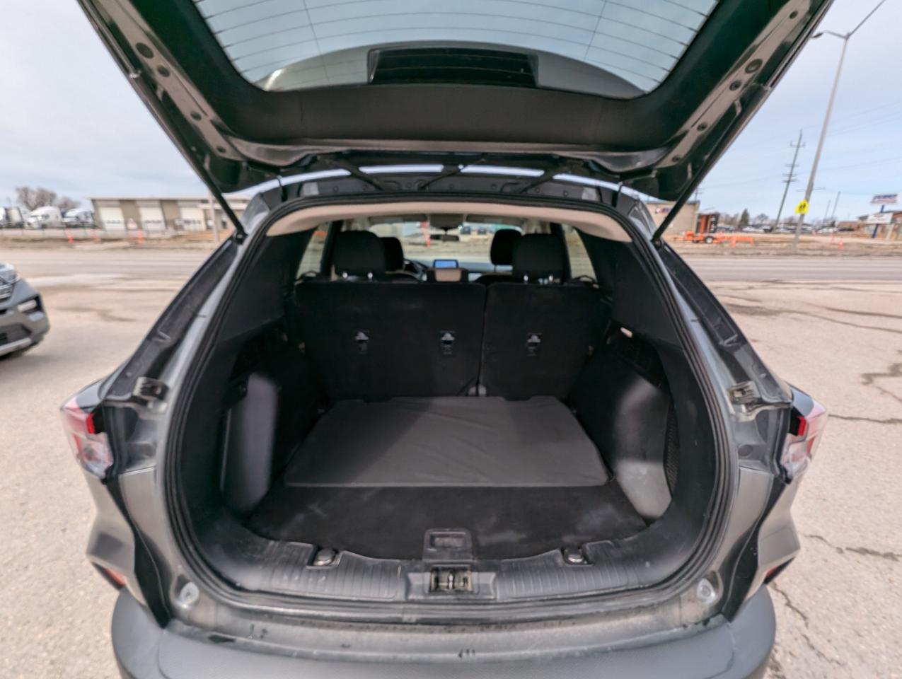 2020 Ford Escape SE | Adaptive Cruise | No Collisions | Carplay - Photo #6