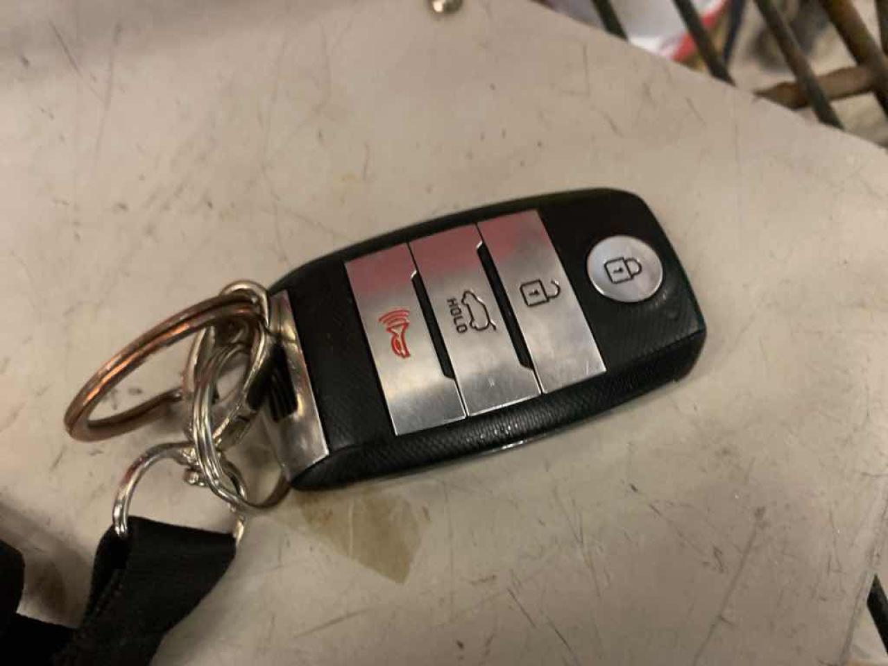 12424119