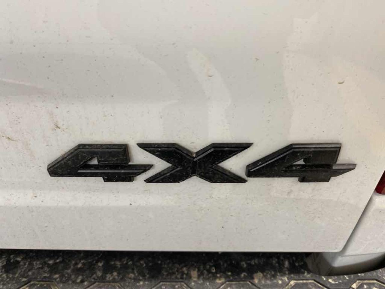 12424146
