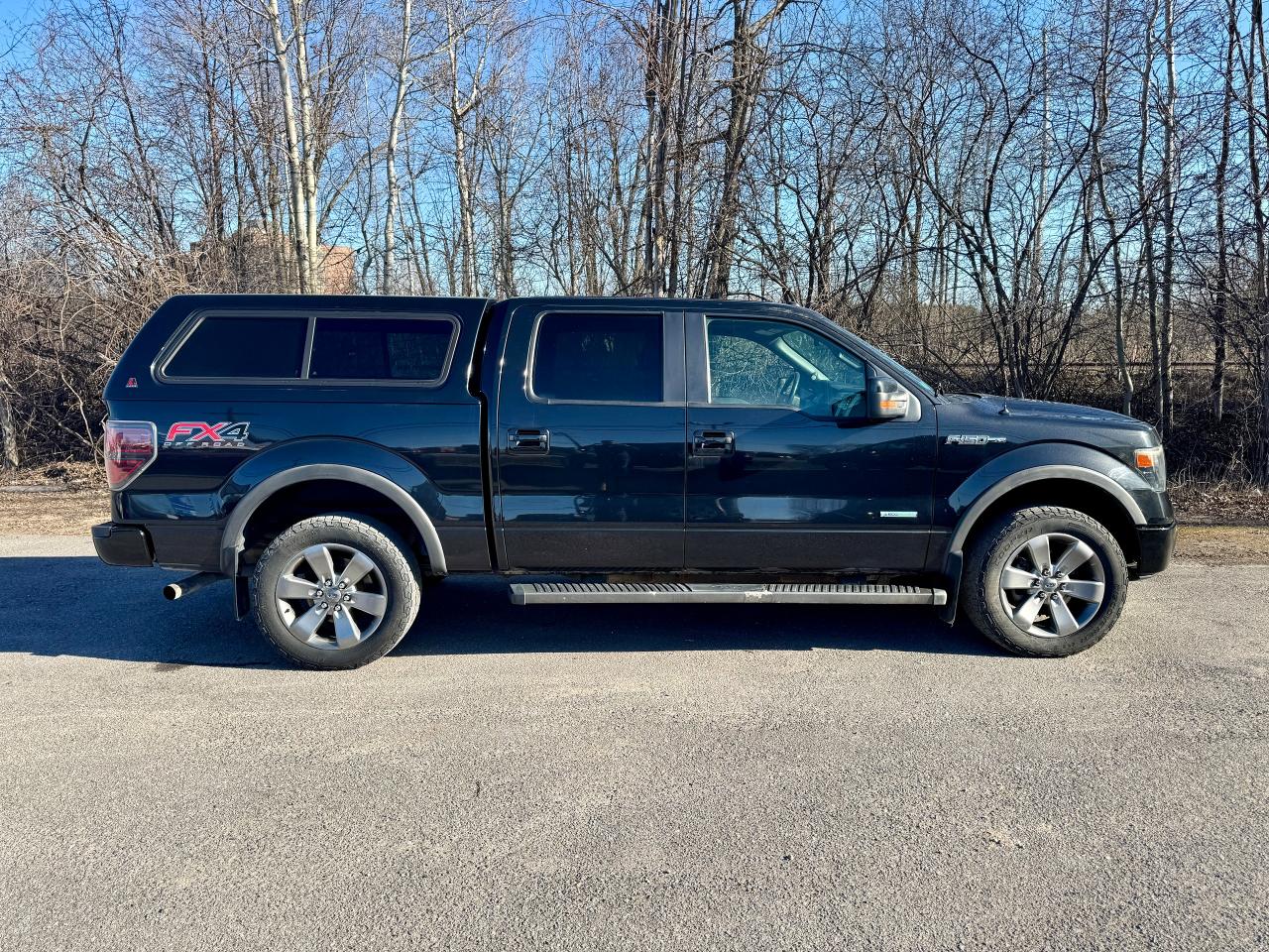 2013 Ford F-150 FX4 4WD SuperCrew 145" - Photo #5