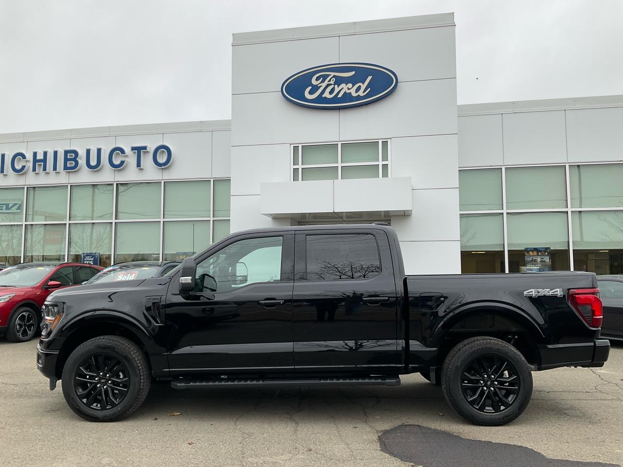 2025 Ford F-150 XLT Photo5