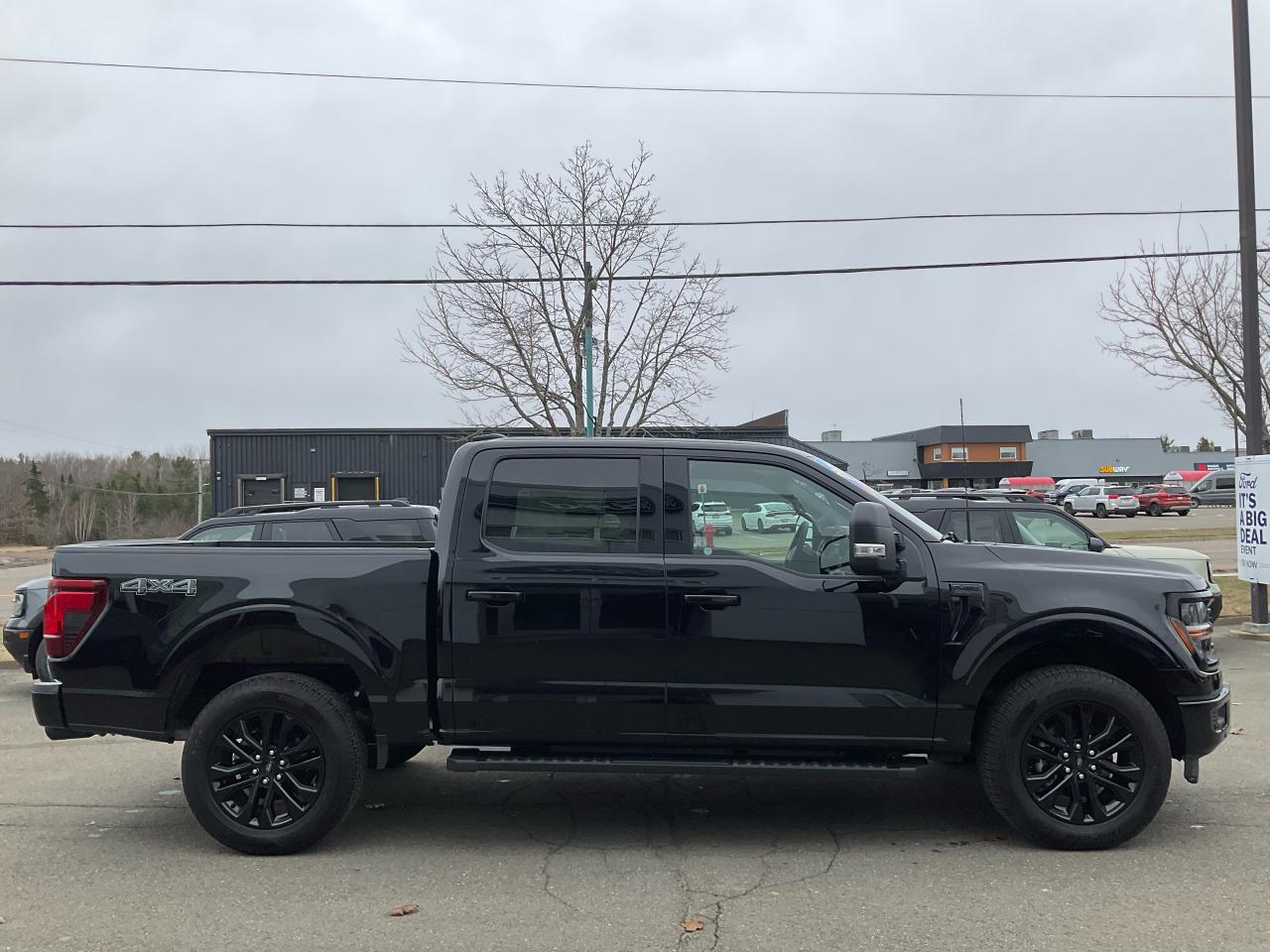 2025 Ford F-150 XLT Photo3