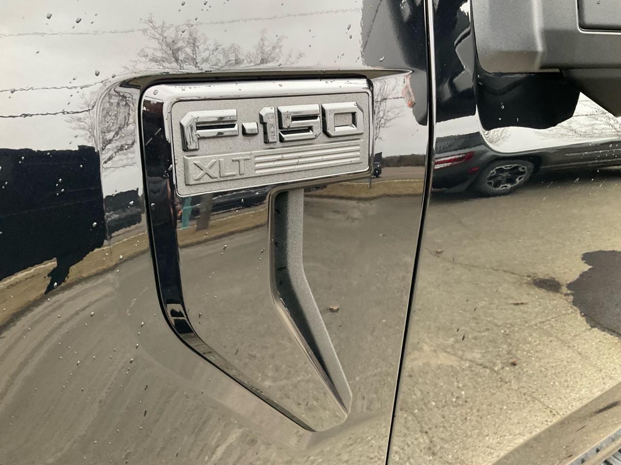 2025 Ford F-150 XLT Photo5