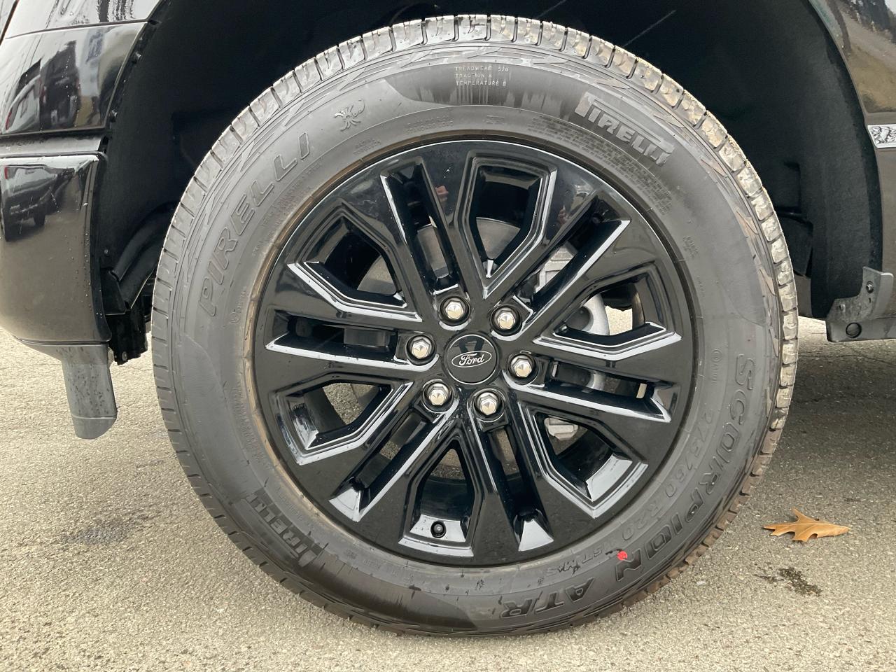2025 Ford F-150 XLT Photo5
