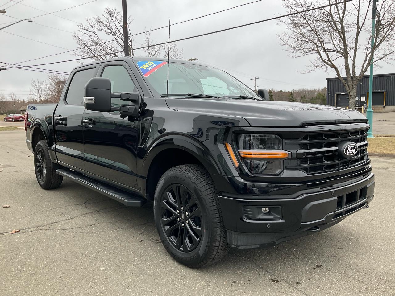 2025 Ford F-150 XLT Photo2