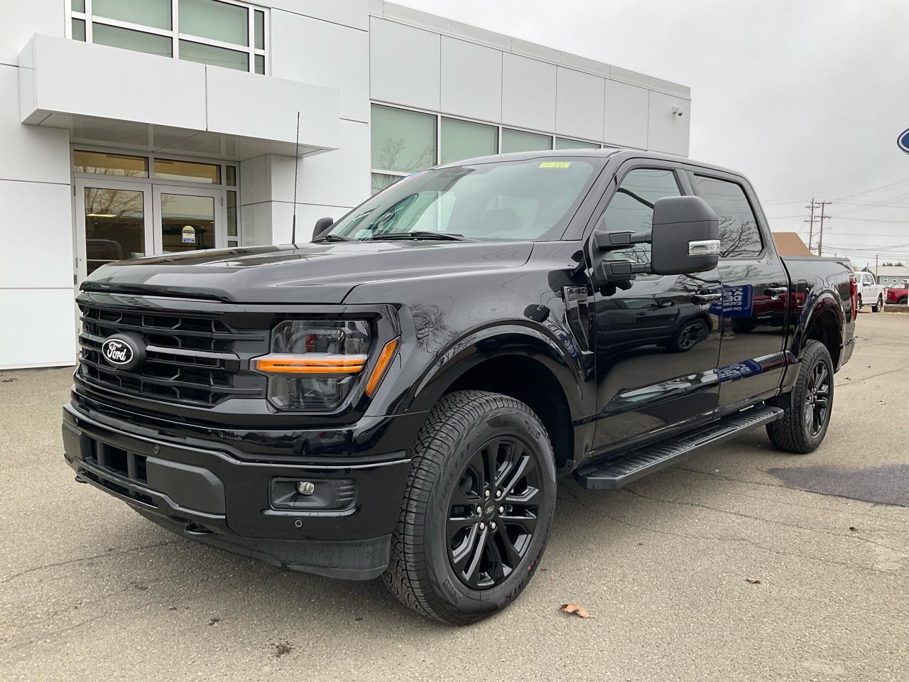 2025 Ford F-150 XLT Photo0