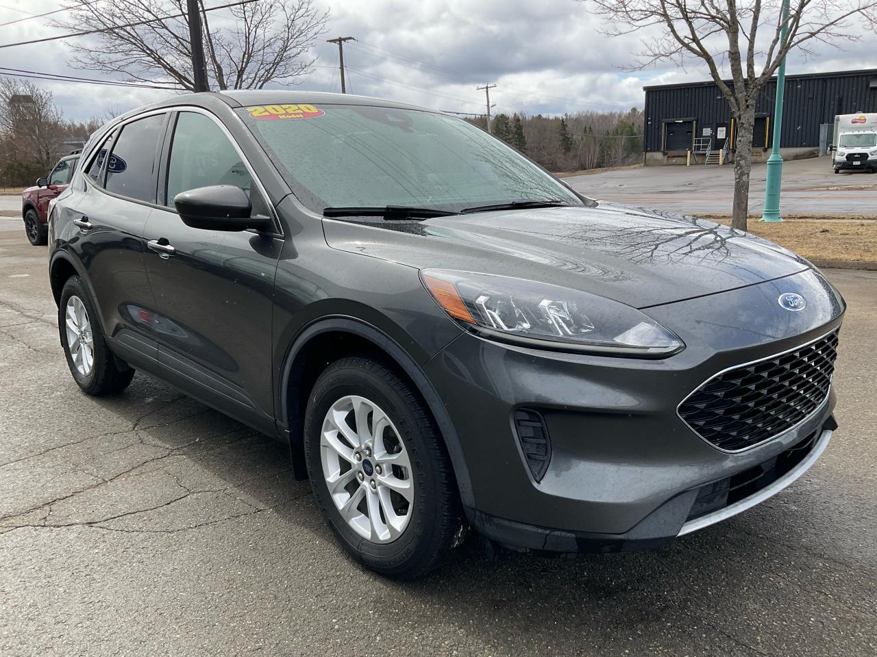 2020 Ford Escape SE Photo