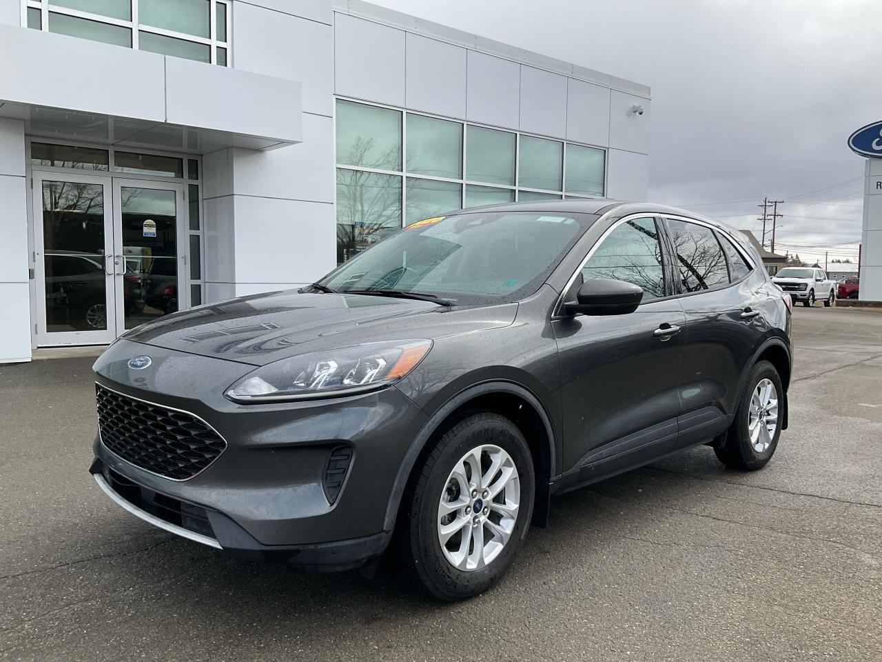 2020 Ford Escape SE Photo0