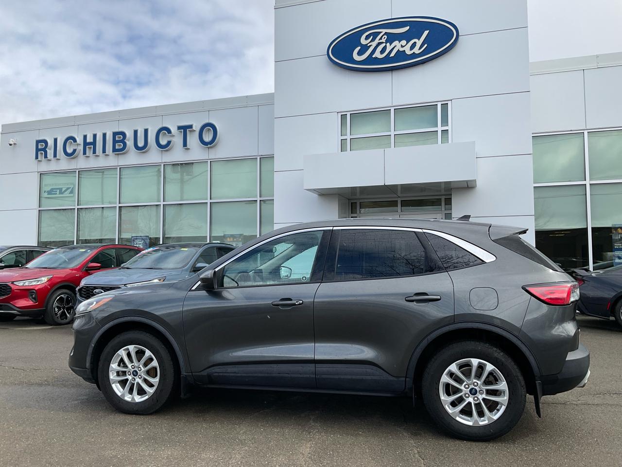 2020 Ford Escape SE Photo