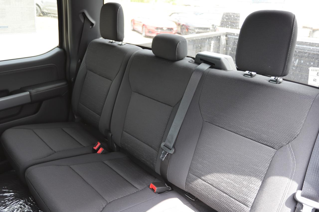 2025 Ford F-150 XLT 4WD SuperCrew 5.5' Box Photo5
