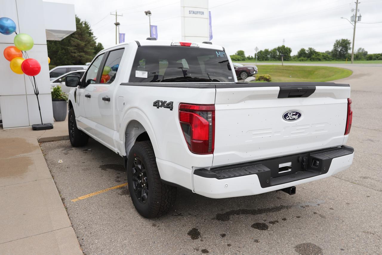 2025 Ford F-150 STX 4WD SuperCrew 5.5' Box Photo