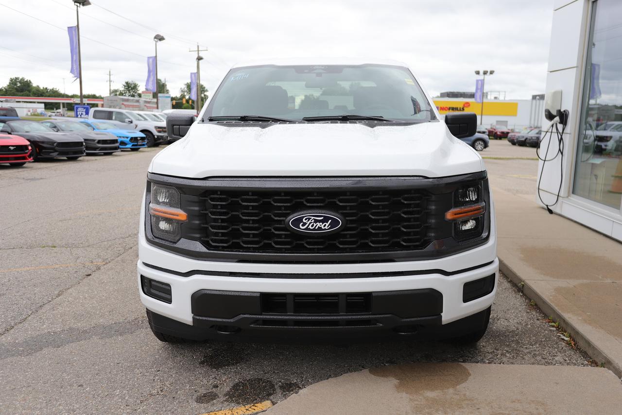 2025 Ford F-150 STX 4WD SuperCrew 5.5' Box Photo