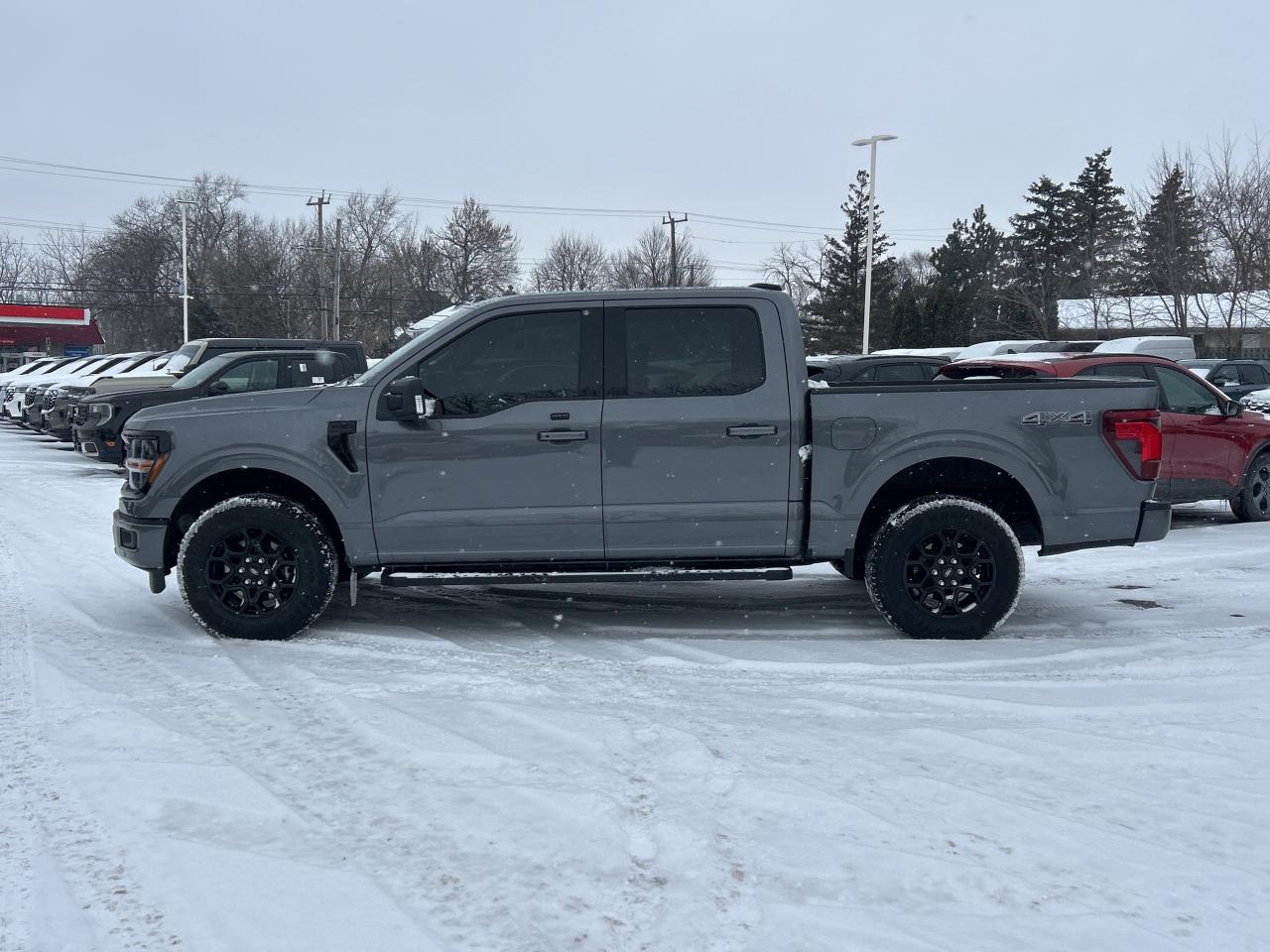 2025 Ford F-150 XLT 4WD SuperCrew 5.5' Box Photo1