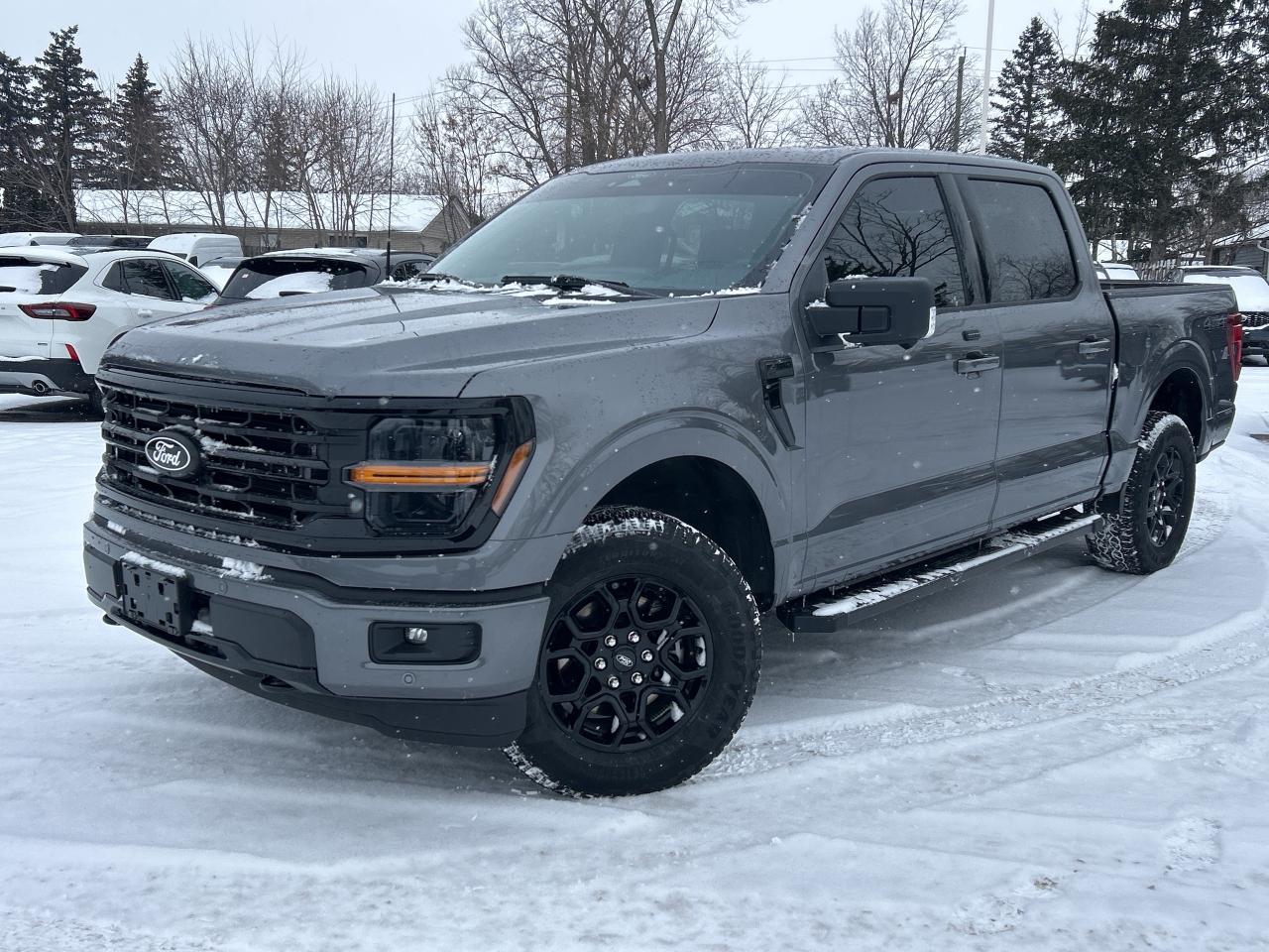 2025 Ford F-150 XLT 4WD SuperCrew 5.5' Box Photo0