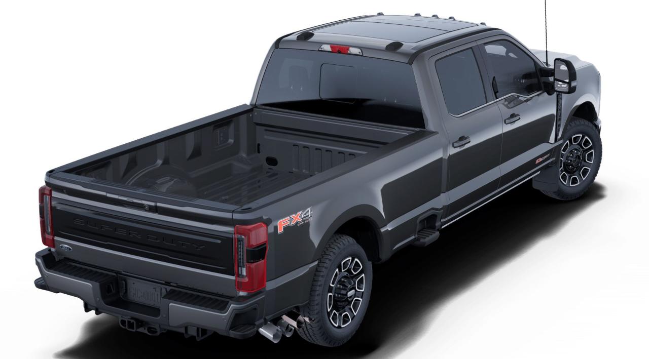 2025 Ford F-350 Super Duty SRW PLATINUM Photo2