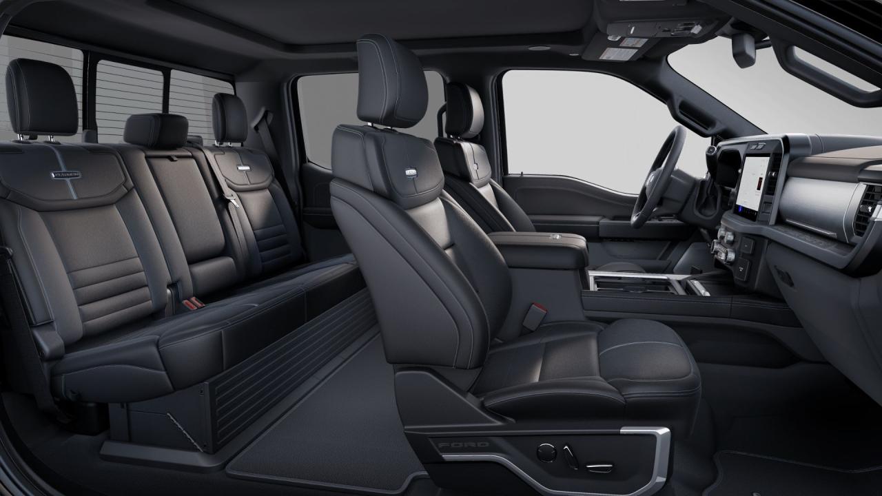 2025 Ford F-350 Super Duty SRW PLATINUM Photo5