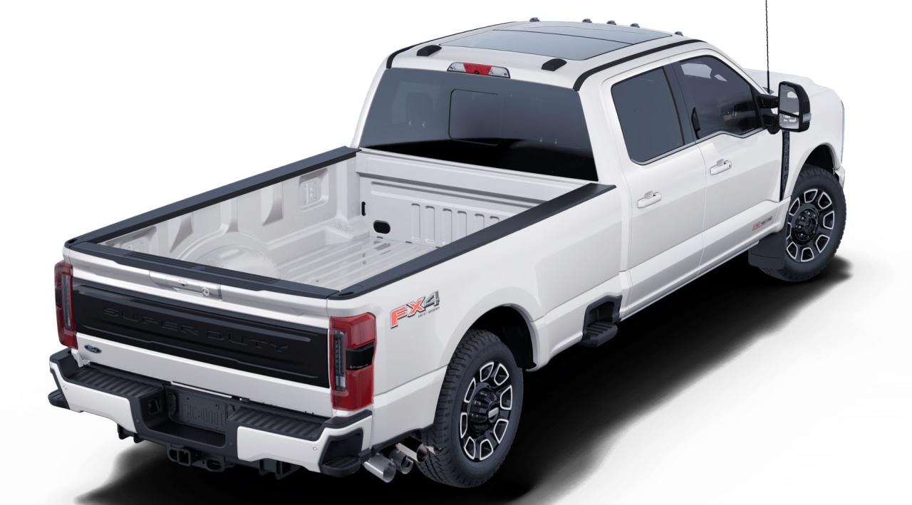 2025 Ford F-350 Super Duty SRW PLATINUM Photo