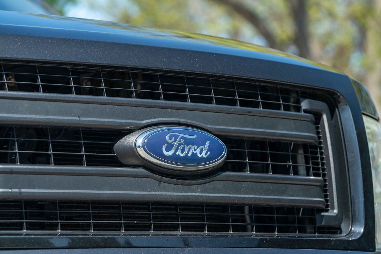 2014 Ford F-150 STX - Photo #7