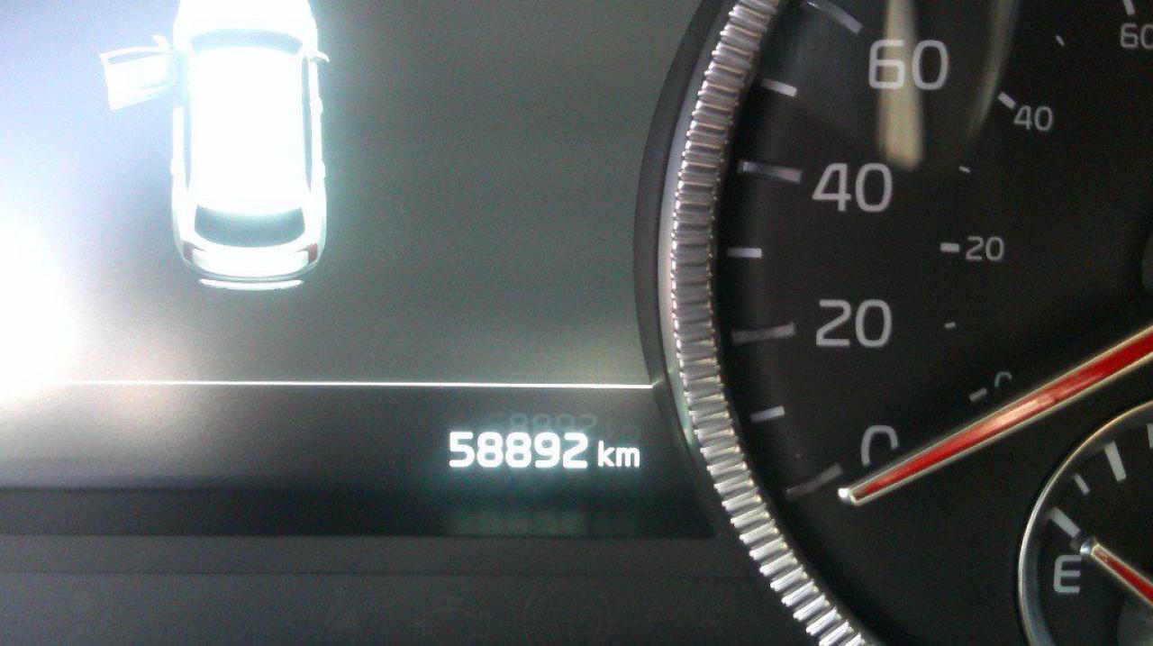 12428904