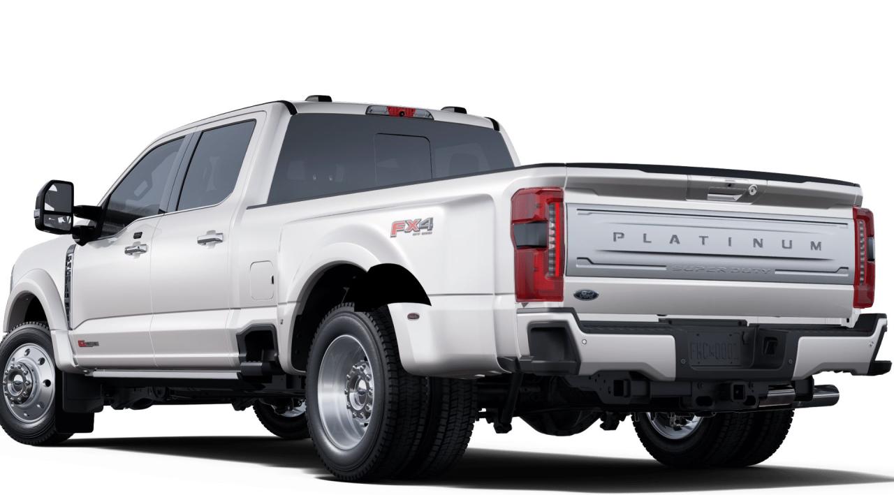 2025 Ford F-450 Super Duty DRW PLATINUM 8' Box 773A Photo