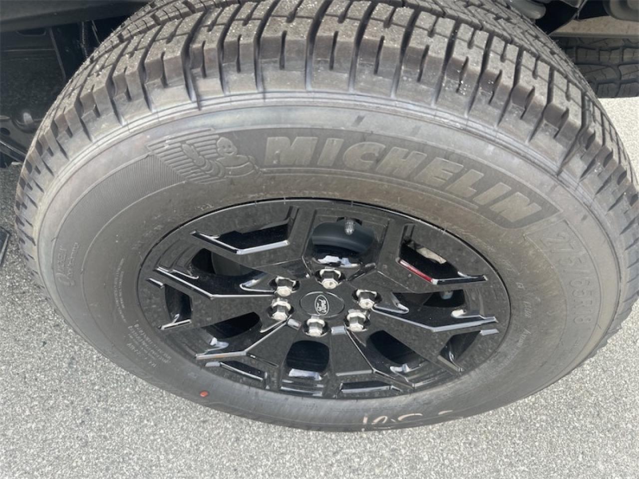 2025 Ford F-150 Lightning XLT  - Tailgate Step Photo5